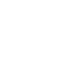Lion World Travel