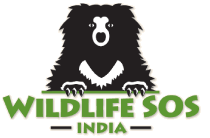 Wildlife SOS India