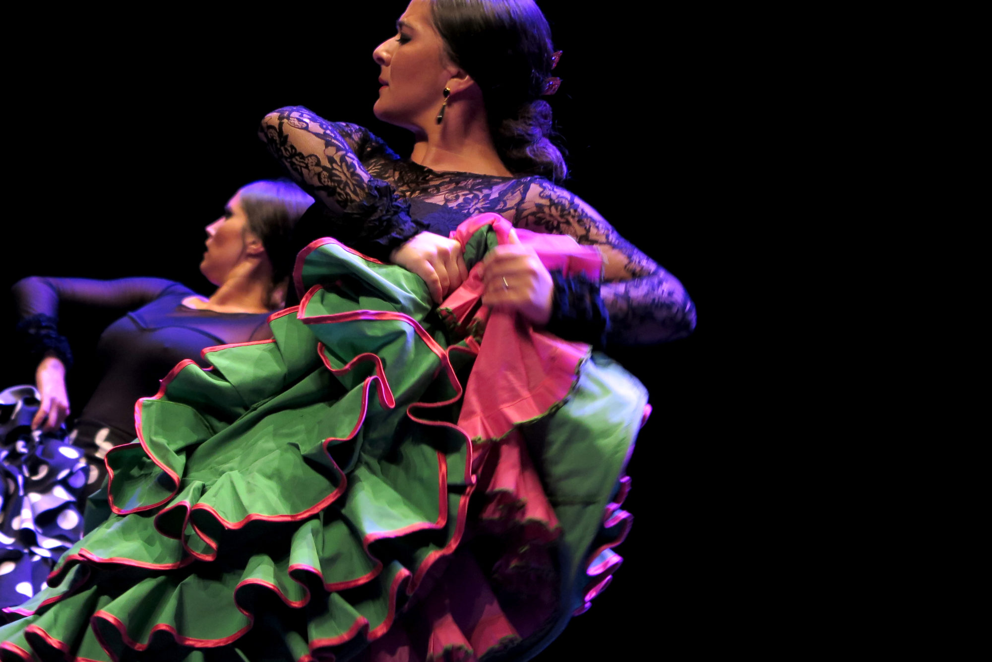 The Cristina Heeren Foundation of Flamenco Art 