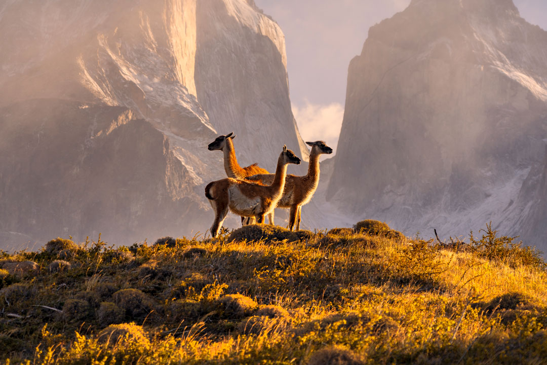 Adventure World Travel – Ecocamp Patagonia hero image