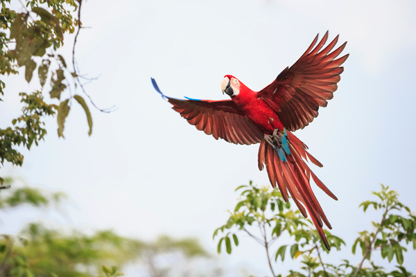 Costsaver – Bird Park Visit hero image