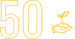 50