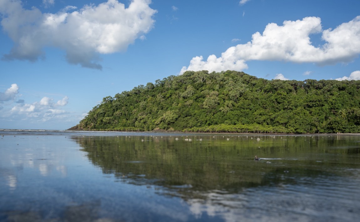 “Nature has a right to exist:” A Conversation with Rainforest Rescue hero image